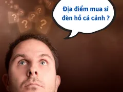 Địa điểm cung cấp sỉ đèn hồ cá cảnh