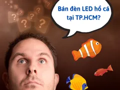 Địa điểm bán đèn led hồ cá TPHCM