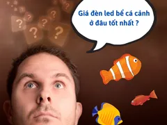 Giá đèn led bể cá cảnh ở đâu tốt nhất ?