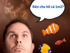 Đèn hồ cá thủy sinh 1m2 chất lượng, giá tốt tại Đèn Hồ Cá