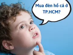 Địa chỉ chuyên bán đèn led hồ cá TPHCM