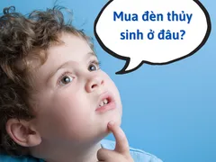 Ở đâu bán đèn led cho hồ thủy sinh giá tốt nhất ?