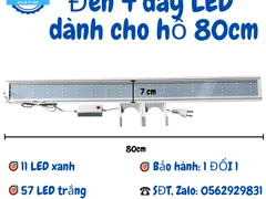 Các mẫu đèn hồ cá cho hồ 80cm