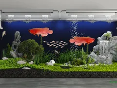 Bí kíp đặt đèn chìm bể cá rồng lên màu đẹp