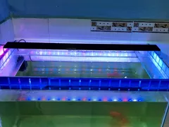 Giải đáp những thắc mắc về đèn led cho hồ cá thủy sinh (Phần 2)
