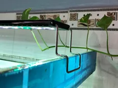 Đừng mua đèn led hồ cá mini nếu bạn chưa đọc bài viết này!