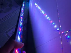 Đèn led chìm - Thiết bị chiếu sáng độc đáo cho bể cá cảnh