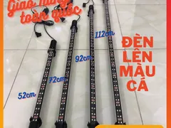 Các loại đèn led bể cá đẹp, tiết kiệm