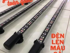 Mua đèn thủy sinh nên lưu ý những gì ?