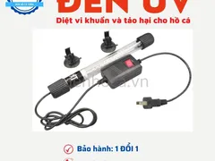 Kinh nghiệm chọn đèn UV cho hồ cá KOI