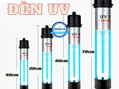 Tác dụng đèn UV cho hồ cá bạn có biết?