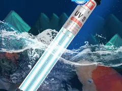 Đèn UV thủy sinh có thực sự diệt vi sinh không?