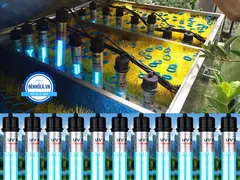 Thời gian sử dụng đèn UV cho bể cá và những lưu ý dành cho bạn