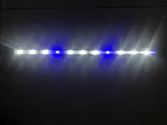 Tư vấn chọn mua đèn chìm bể cá mini phù hợp