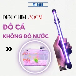 Đèn CHÌM bể cá 30cm Đỏ Cá Không Đỏ Nước