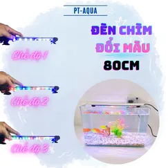 Đèn CHÌM bể cá 80cm Đổi Màu