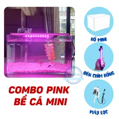 Bể cá mini để bàn COMBO PINK giá rẻ đầy đủ phụ kiện