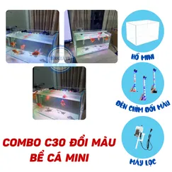 Bể cá mini 40cm COMBO ĐỔI MÀU - C30