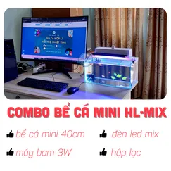 Bể cá mini 40cm Full COMBO máy bơm hộp lọc đèn hồ cá HL-MIX