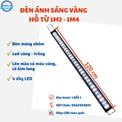Đèn hồ cá 1m2 ánh sáng vàng cho cá kim long, cá màu vàng