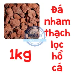 Đá nham thạch phụ kiện lọc cho hồ cá cảnh 1kg