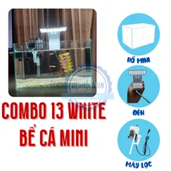 Combo Bể cá mini để bàn HỒ LỌC ĐÈN LED13 WHITE TRẮNG đầy đủ phụ kiện