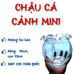 Chậu thủy tinh cá cảnh mini miệng tai bèo