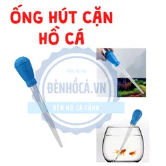 Ống hút cặn hồ cá