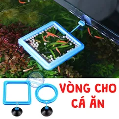 VÒNG CHO CÁ ĂN