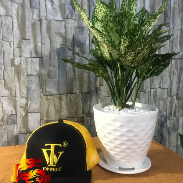 Nón lưỡi trai NSG_03