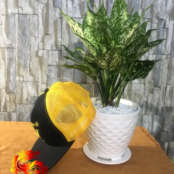 Nón lưỡi trai NSG_03