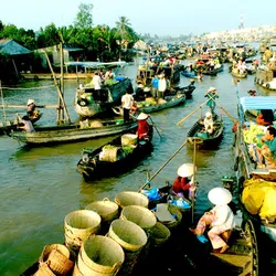 Tour Du Lịch Miền Tây 1 Ngày (Mỹ Tho - Bến Tre)