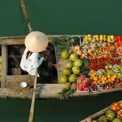 Evergreen of Mekong Delta Tour (Full Day)