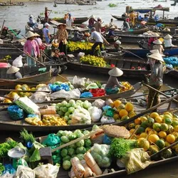 Evergreen of Mekong Delta ( Full Day )