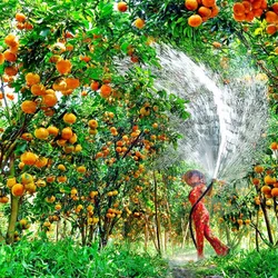 Du lịch Miền Tây, Tour Du Lịch Miền Tây