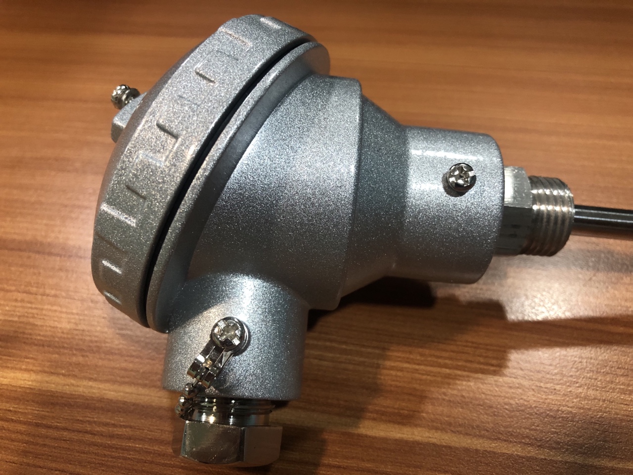 Can nhiệt PT100 / Ø8*200 - M21 Can nhiệt PT100 / Ø8*200 - M21