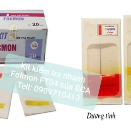 TEST KIỂM TRA NHANH FORMOL FT04 VÀ  HƯỚNG DẪN SỬ DỤNG