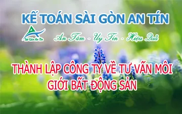 HƯỚNG DẪN THỦ TỤC THÀNH LẬP CÔNG TY VỀ TƯ VẤN MÔI GIỚI BẤT ĐỘNG SẢN