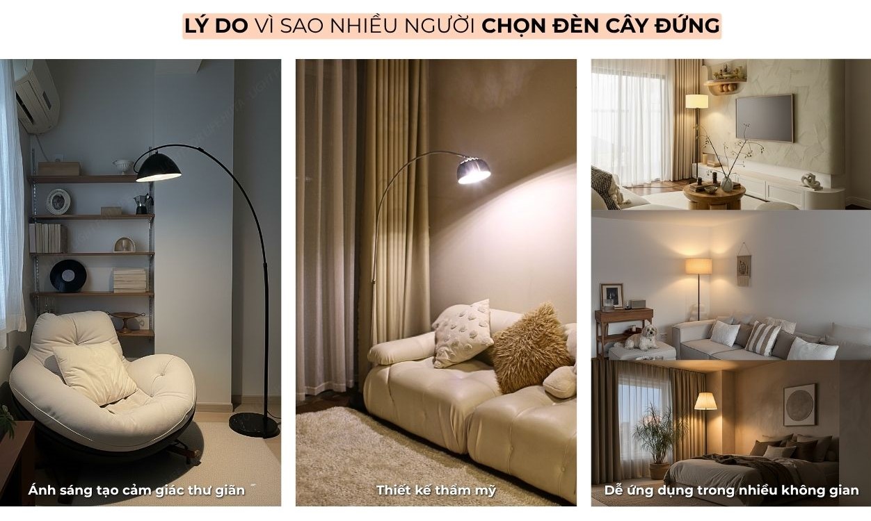 2. VÌ SAO ĐÈN CÂY ĐỨNG ĐƯỢC ƯA CHUỘNG?