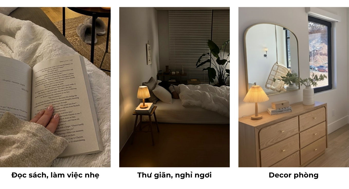 3.2. Mục đích sử dụng