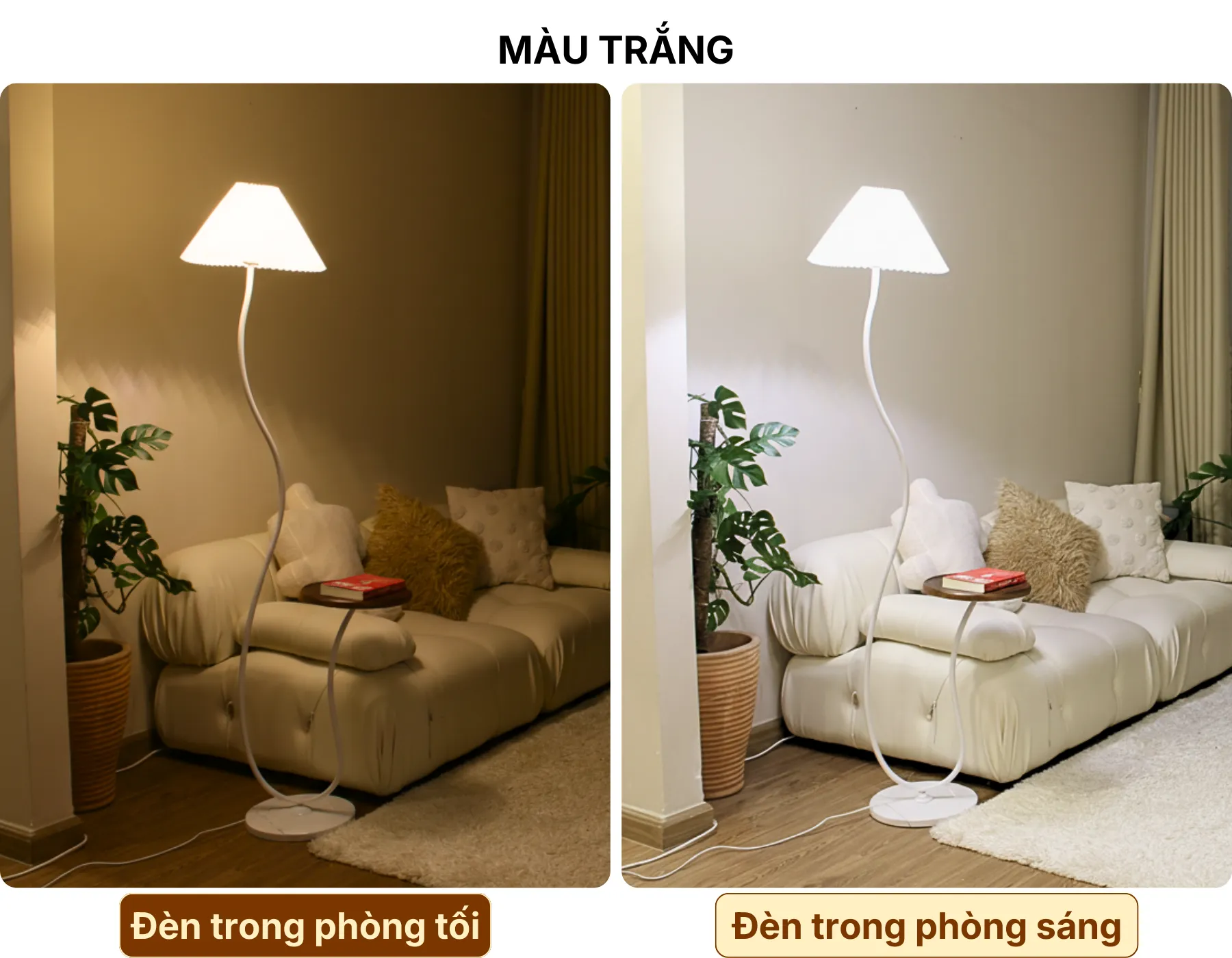 4. HIỆU ỨNG ÁNH SÁNG ĐÈN CÂY ĐỨNG ĐÈN SÀN KC10