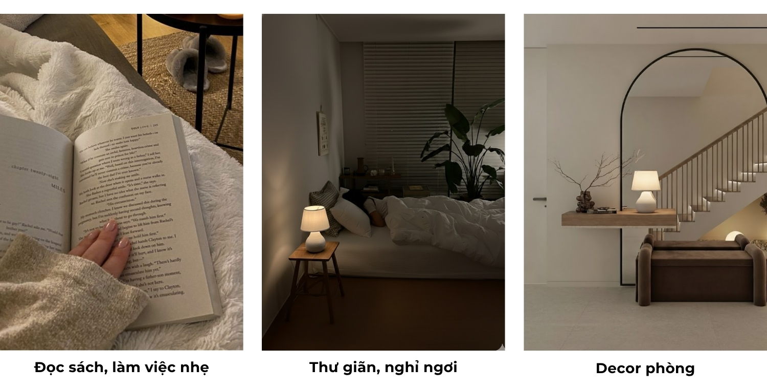 3.2. Mục đích sử dụng