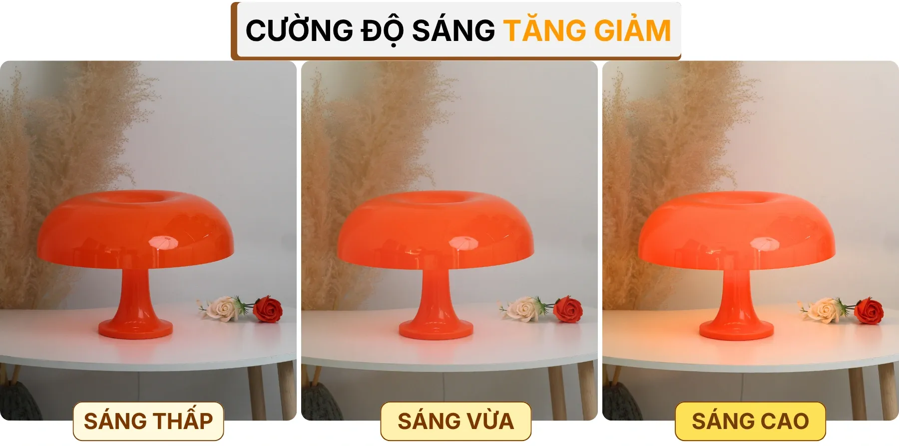 4. HIỆU ỨNG ÁNH SÁNG ĐÈN BÀN TRANG TRÍ LUMO