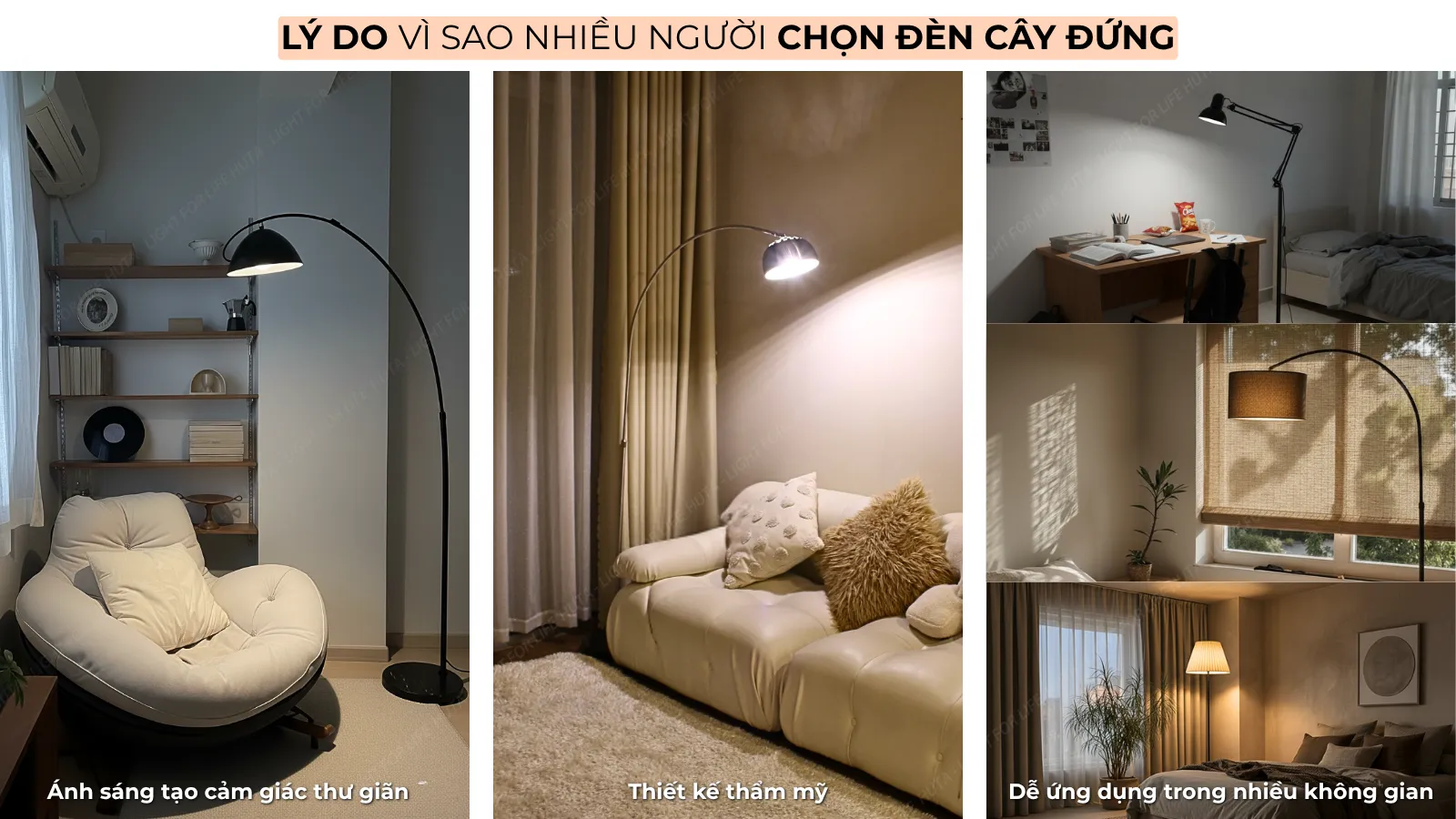 2. VÌ SAO ĐÈN CÂY ĐỨNG ĐƯỢC ƯA CHUỘNG?