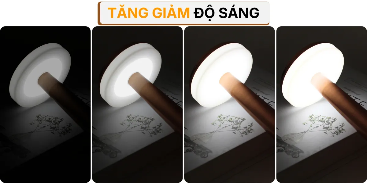4. HIỆU ỨNG ÁNH SÁNG ĐÈN BÀN TRANG TRÍ RESDIA1