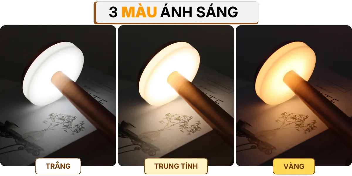 4. HIỆU ỨNG ÁNH SÁNG ĐÈN BÀN TRANG TRÍ RESDIA1