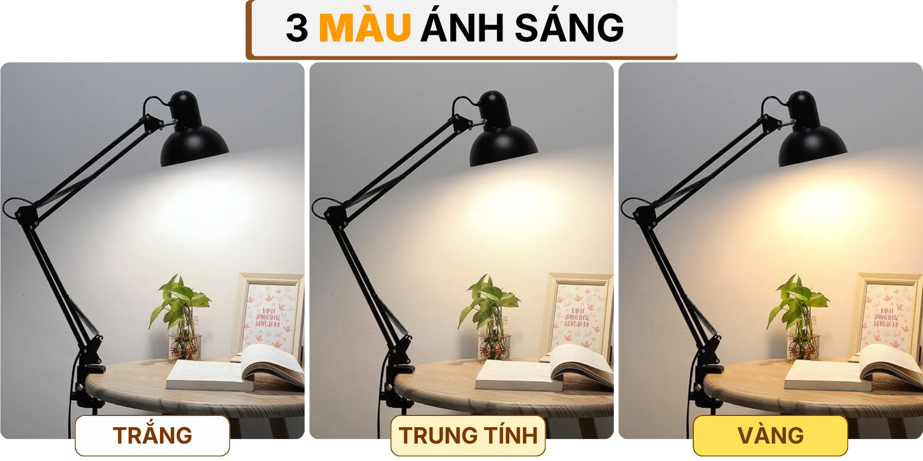 4. HIỆU ỨNG ÁNH SÁNG ĐÈN BÀN HỌC K1