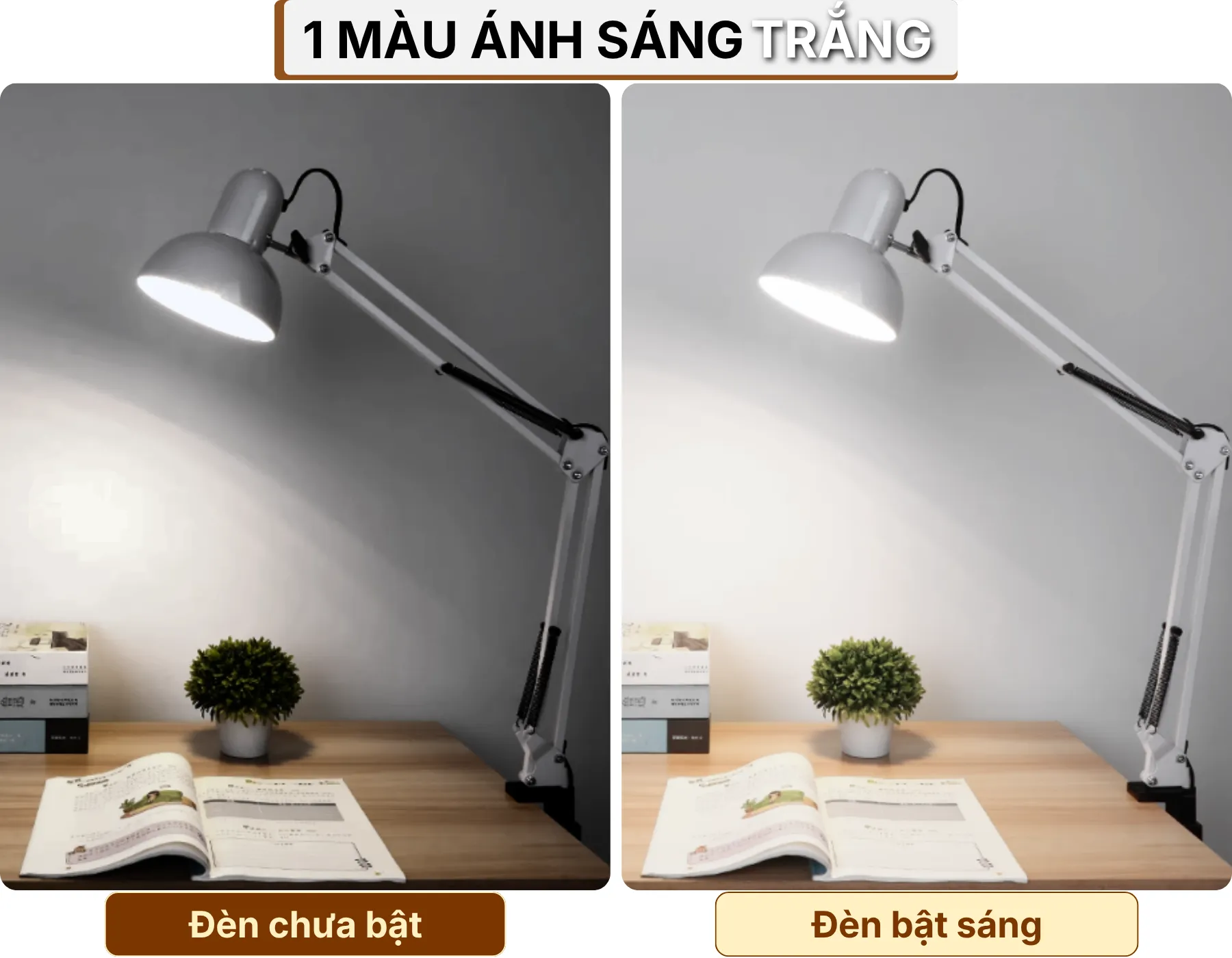 4. HIỆU ỨNG ÁNH SÁNG ĐÈN BÀN HỌC K1