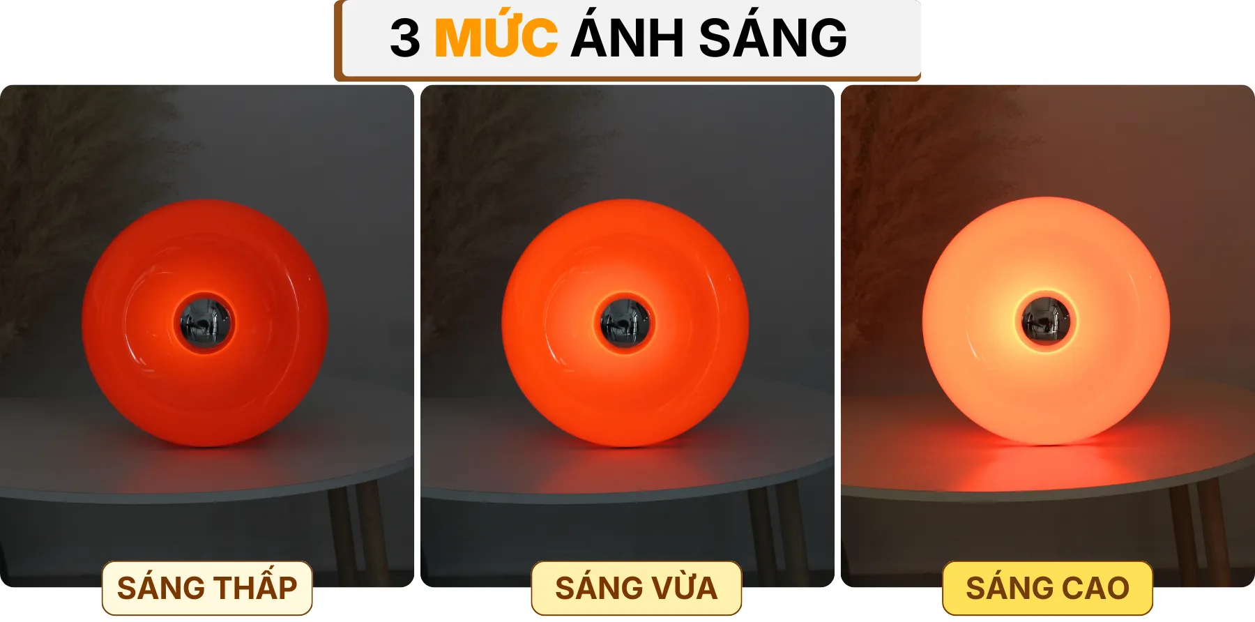 4. HIỆU ỨNG ÁNH SÁNG ĐÈN BÀN TRANG TRÍ DONUT