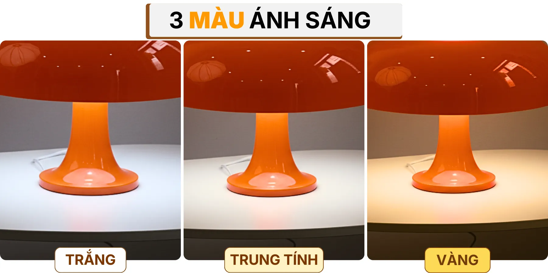 4. HIỆU ỨNG ÁNH SÁNG ĐÈN BÀN TRANG TRÍ LUMO